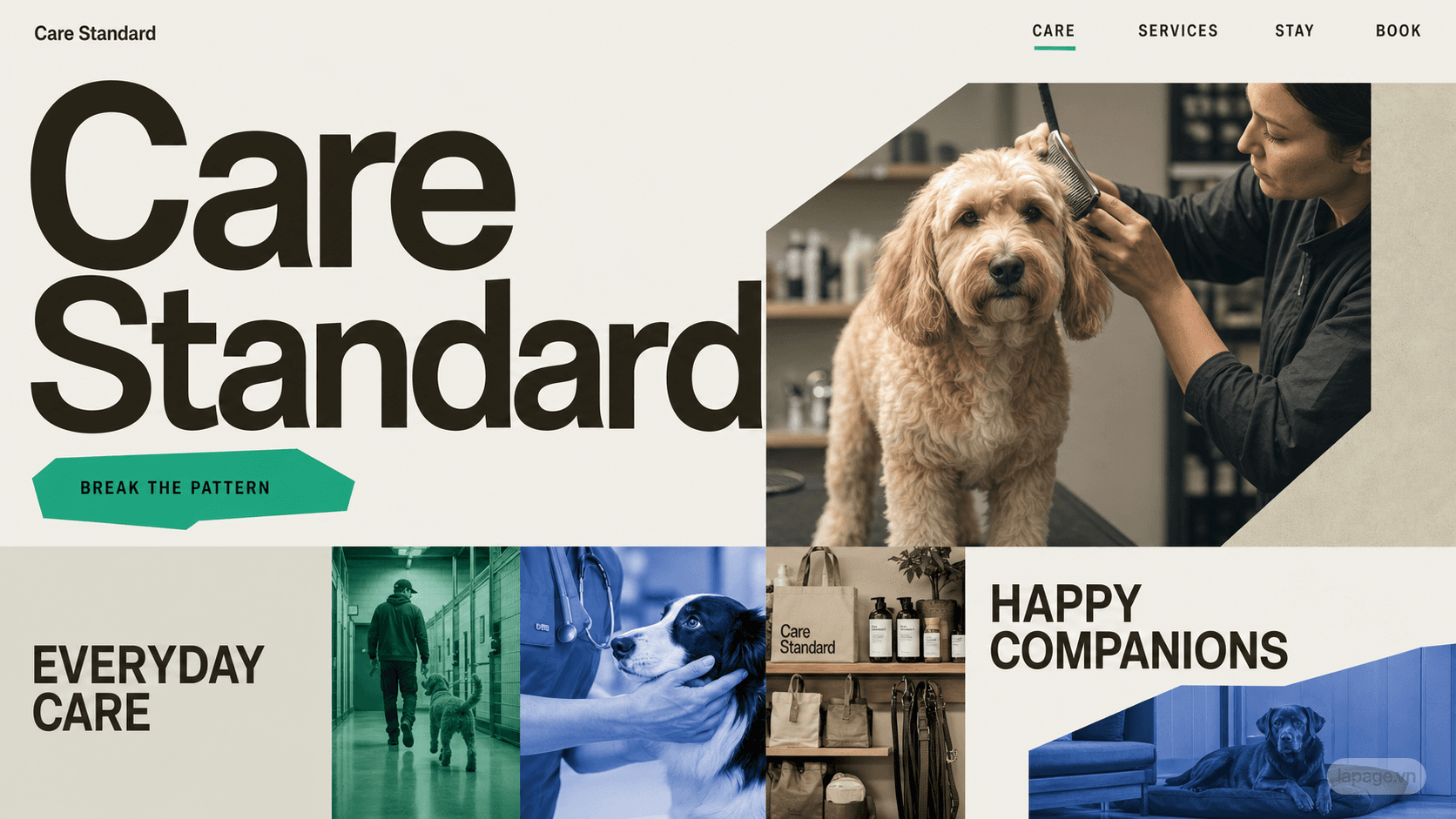 Preview of the related Care Standard website direction
