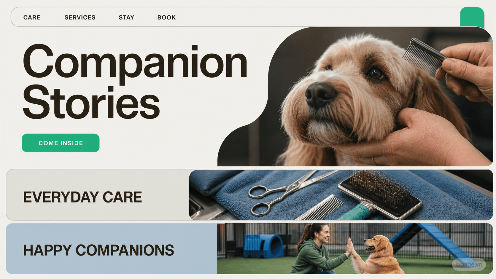 Preview of the related Companion Stories website direction