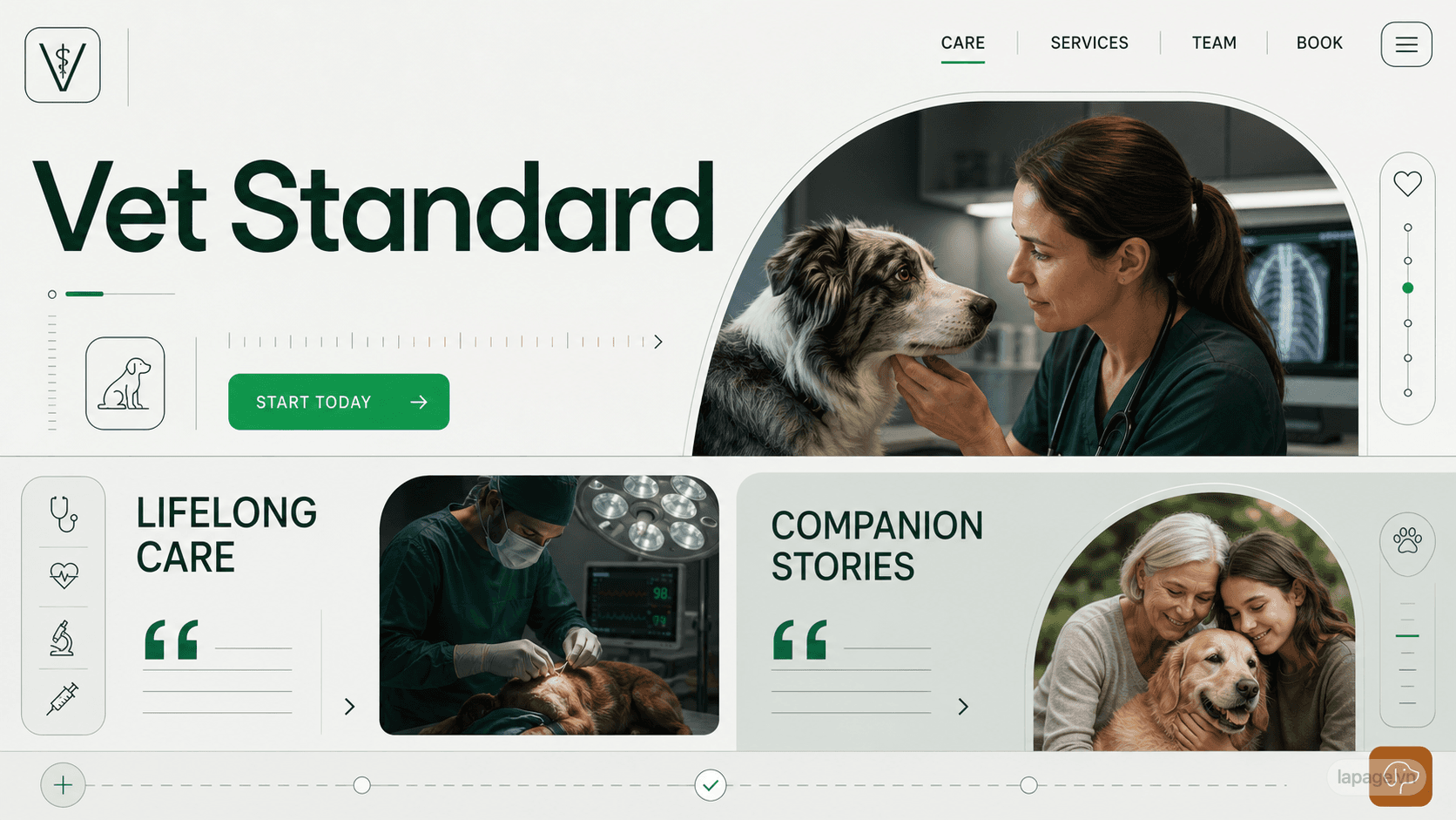 Preview of the related Vet Standard website direction